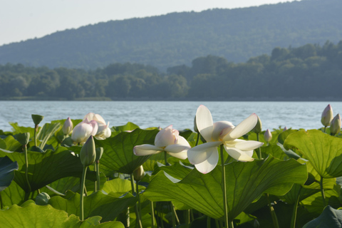 The 7 Lakes of Varese: Coach Trip to Discover the Province The 7 Lakes of Varese: Bus Trip to Discover the Province