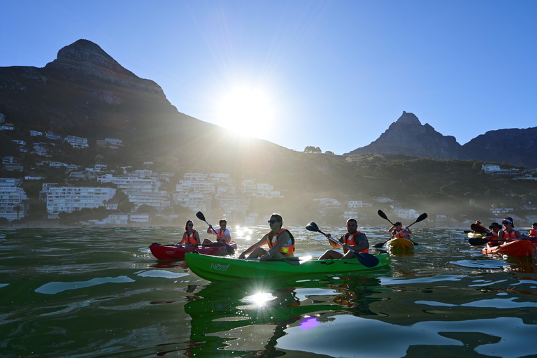 Cape Town: Guided Kayak Tour of Clifton Beaches & The Coast