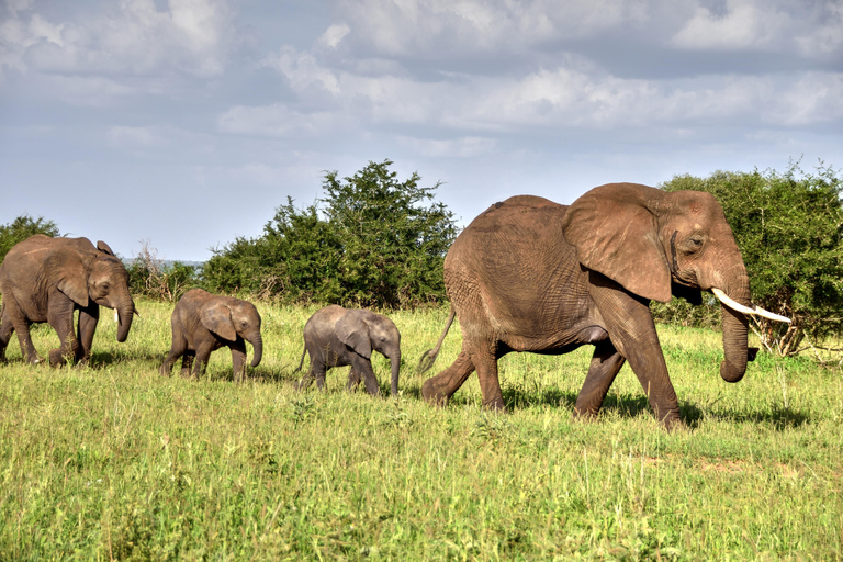 Ab Sansibar: 8-tägige Tansania Safari und Sansibar UrlaubVon Sansibar aus: 8-tägige Tansania-Safari und Sansibar-Urlaub