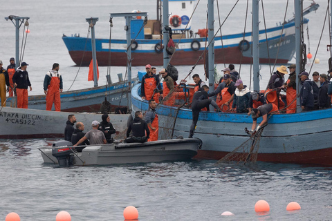 Barbate: Bootstour zur Almadraba von Conil (Thunfischfang)