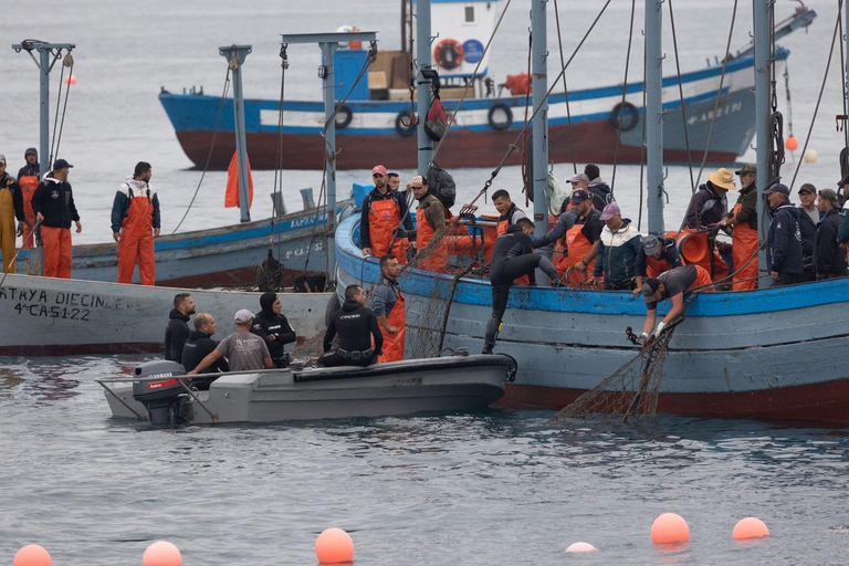 Barbate : Tour en bateau à l&#039;Almadraba de Conil (pêche au thon)