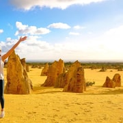 From Perth: Pinnacles Lobster Shack and Yanchep Day Trip