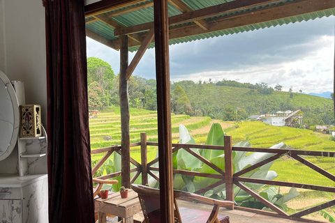 Mount Sago: Summit Zen & Palm Sugar Tour" Summer Experience ; Sikabu-kabu