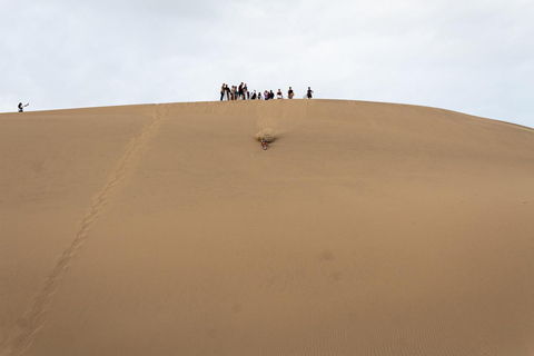 Huacachina: Sandboarding und 4x4 Wüstenabenteuer