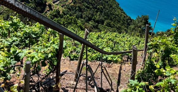 Cinque Terre: Hike from Corniglia to Manarola through the vineyards
