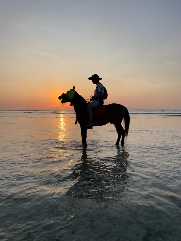Visit Horse Ride On The Beach on Gili Island in Gili Islands