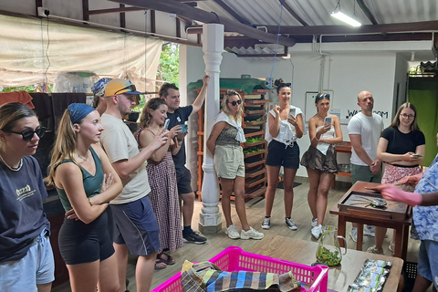 Ella: Organic Tea Plantation Tour with Tea Making & Tasting