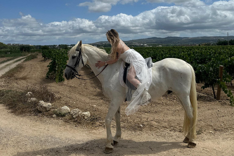Alicante: przejażdżka konna po górach Maigmó, piknik i transferAlicante: Wycieczka konna na górę Maigmó, piknik i transfer