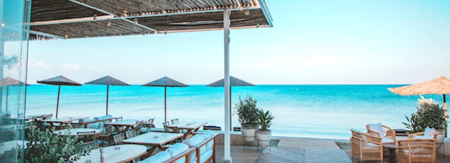 Journée plage à Limassol depuis Paphos : Parc marin et rocher d'Aphrodite