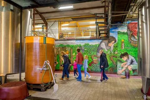 Clos des Quarterons : ''Chai d'oeuvres'' Wine & Street art