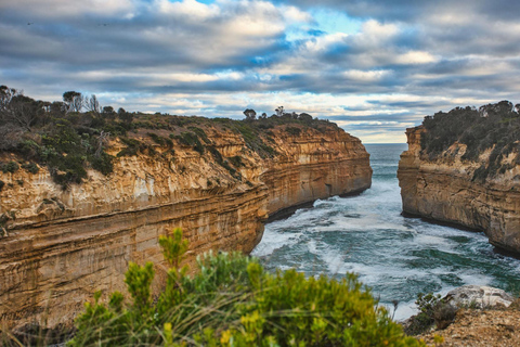 Melbourne: Great Ocean Road Discovery Day Tour