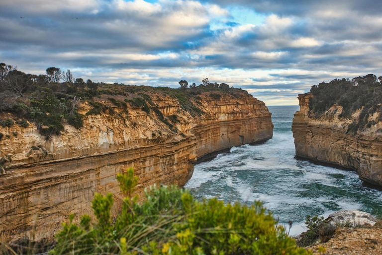 Melbourne: Great Ocean Road Discovery Day Tour