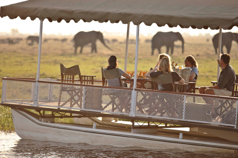Victoria Falls: 7-Day Chobe & Hwange Safari Tour
