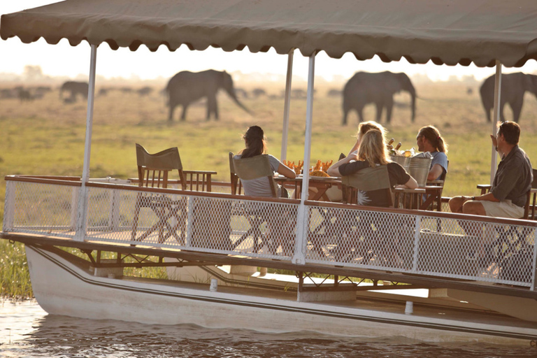 Victoria Falls: 7-Day Chobe & Hwange Safari Tour