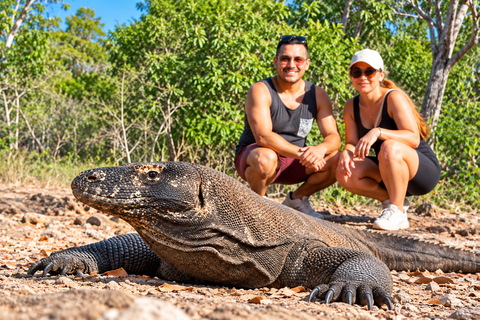 3-Day Komodo National Park Cruise with NK Superior Phinisi Sharing Cabin, Single Bed, Ocean View