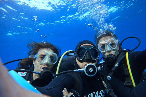 Rhodes: SSI Discover Scuba Diving with Photos & Pickup