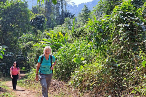 Cuc Phuong National Park - Van Long Day Trip From Hanoi