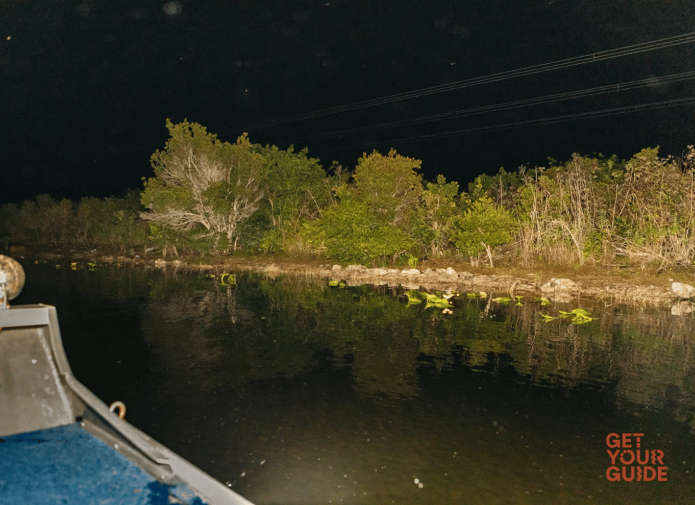 Everglades: 1 times aftentur i sumpbåd