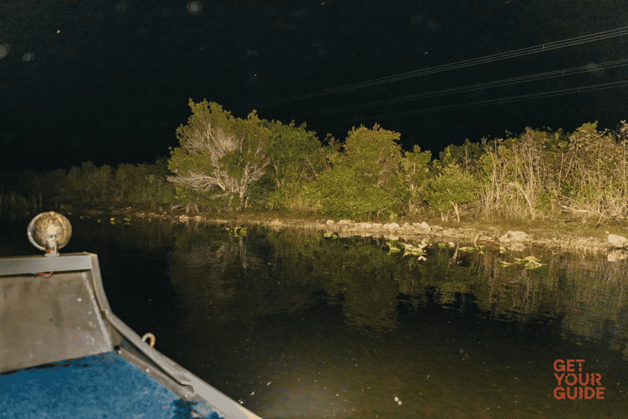 Die Everglades: 1-stündige Airboat Nachttour. Foto: GetYourGuide Die Everglades: 1-stündige Airboat Nachttour. Foto: GetYourGuide