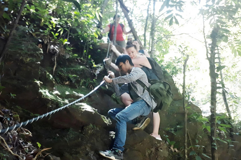 Bach Ma National Park Jungle Trek & Waterfall Adventure From Hue City: Group Tour
