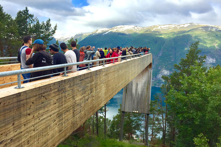 Denmark/Sweden/Norway: 7-Day Scandinavian Circular Bus Tour Joining from Oslo on Saturday