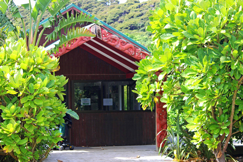 Bay of Islands: Urupukapuka Island Guided Walk Bay of Islands: Urupukapuka Island Guided Walk - Afternoon