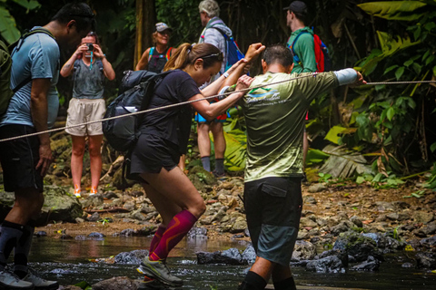 Uvita: Corcovado Rainforest & Wildlife Adventure
