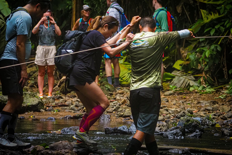 Uvita: Corcovado Rainforest & Wildlife Adventure