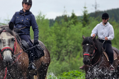 Zakopane: Tatra Mountains Horseback Ride & Thermal Baths