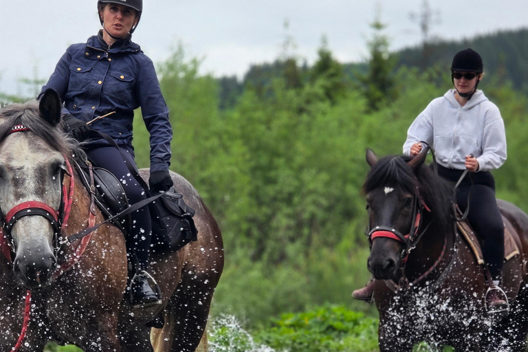 Zakopane: Tatra Mountains Horseback Ride & Thermal Baths