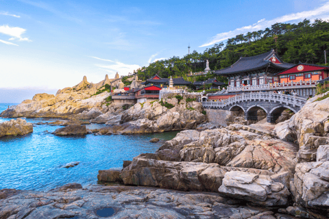 Busan City : Top Attractions One-Day Guided Tour (visite guidée d&#039;une journée)