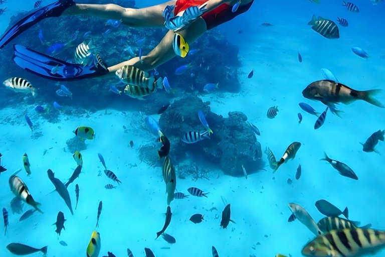 Phuket: Small-Group Catamaran to Coral & Racha Catamaran Day Tour to Coral & Racha Islands (No Transfer)