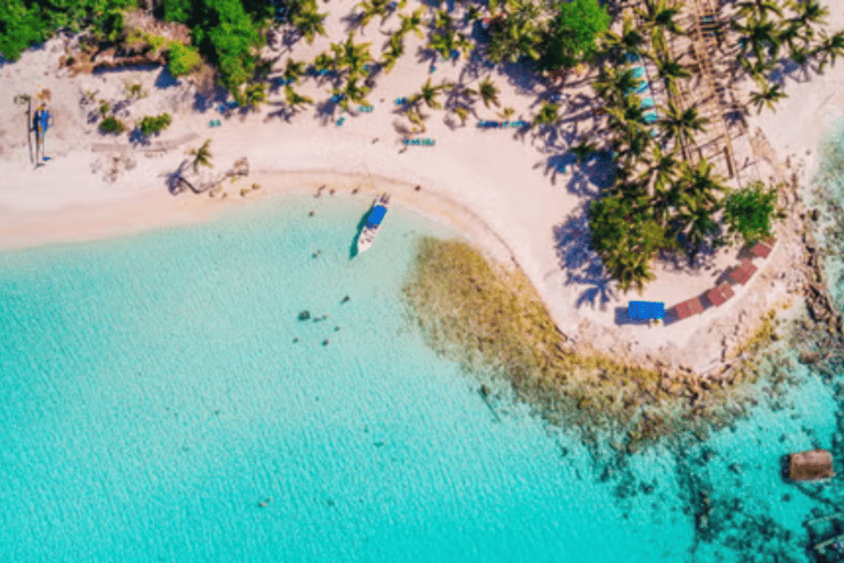 Aventure d'une journée sur l'île de Saona au départ de Punta Cana