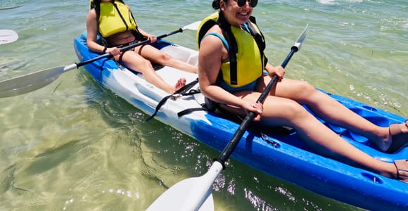 Gold Coast: Snorkelling, Kayaking & Fish Feeding Tour