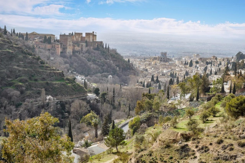 Málaga: 6-day sightseeing tour of Málaga, Seville, Córdoba, and Granada Private