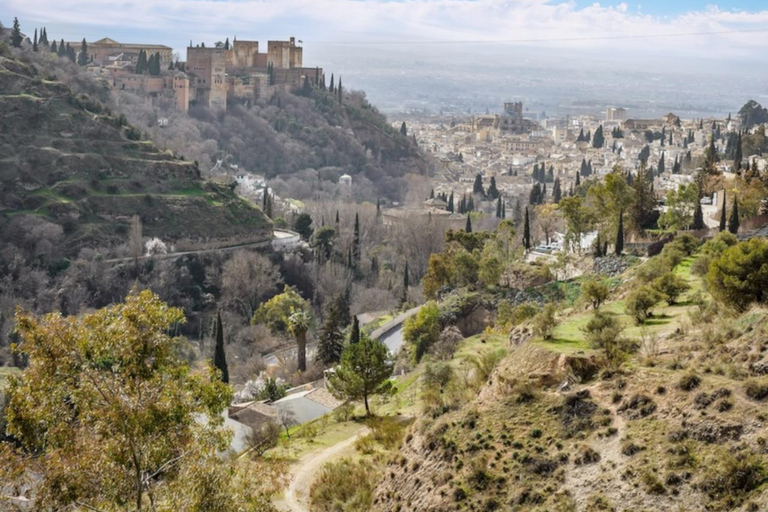 Málaga: 6-day sightseeing tour of Málaga, Seville, Córdoba, and Granada Private