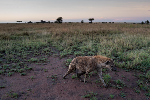 3-Days Unforgettable Luxury Safari to Tanzania