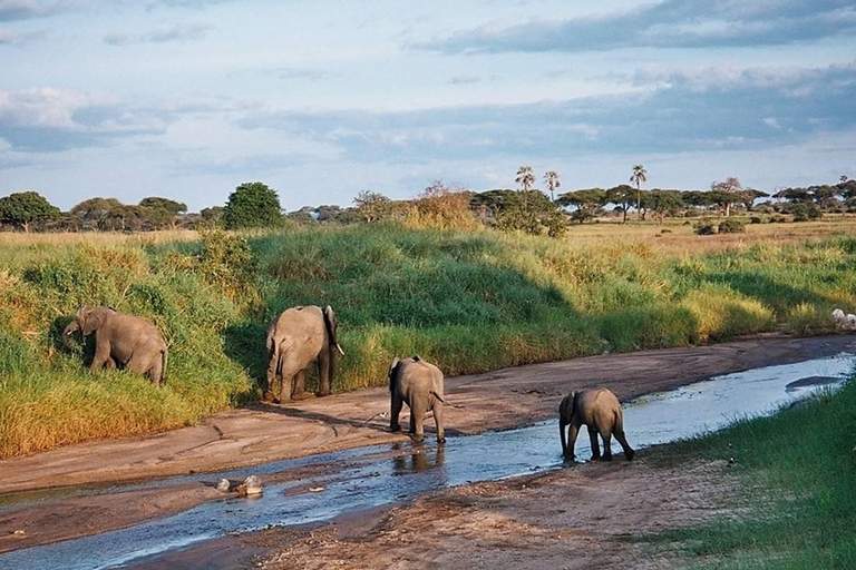 5 Days Tarangire, Ngorongoro & Serengeti National Park