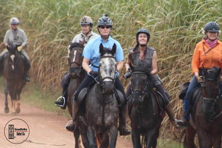 UGANDA HORSEBACK — SCENIC LANDSCAPES & ADVENTURES | 8-Days