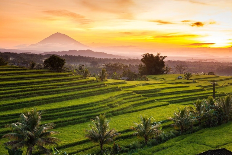 Bali: Jatiluwih Reisterrasse Sonnenaufgangs-Trekking mit FrühstückOhne Eintrittsgelder & Frühstück