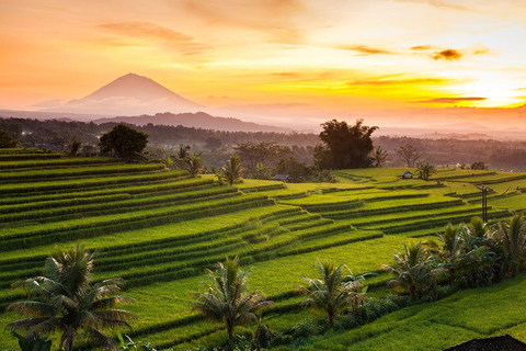 North of Bali: Private Tour with UNESCO World Heritage site Private Tour : Ticket Excluded