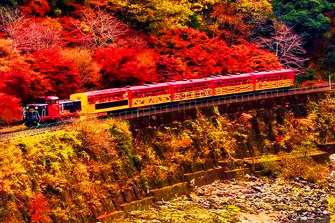 Osaka: Kyoto, Nara, Fushimi Inari, and Arashiyama Tour Japanese Service