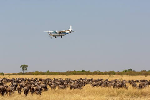 8-Day: Tanzania Safari Tour