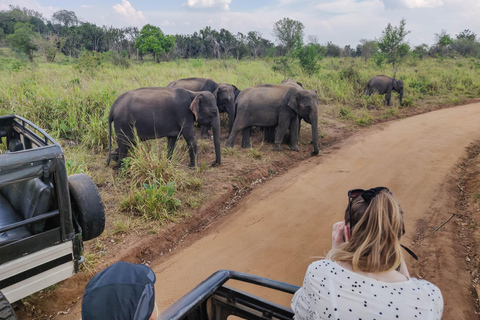 Safari dans le parc national de Yala au départ d&#039;Ella