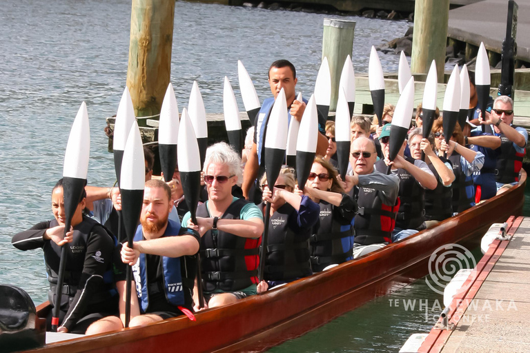 Wellington: Tour guiado em Waka (experiência cultural maori)