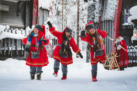 Levi：Arcandia，精灵法庭/日光和公园/黑暗精灵法庭：3 小时体验和公园之旅