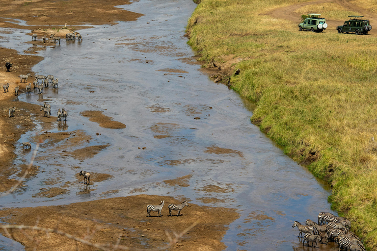 Kenya: 7-Day Masai Mara, Lake Nakuru, and Samburu Safari