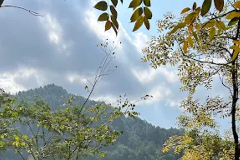 Avventura al Tempio di Selogriyo: trekking tra risaie e rafting sul fiume EloAvventura al tempio di Selogriyo: trekking nella risaia e rafting sul fiume Elo