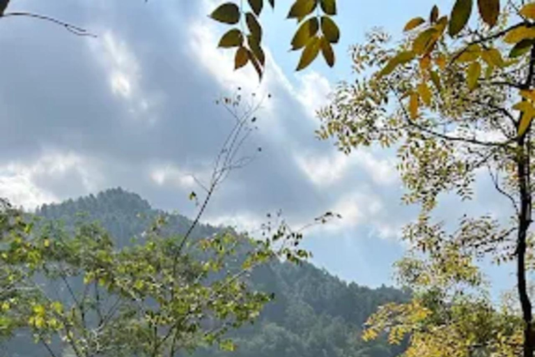 Avventura al Tempio di Selogriyo: trekking tra risaie e rafting sul fiume EloAvventura al tempio di Selogriyo: trekking nella risaia e rafting sul fiume Elo
