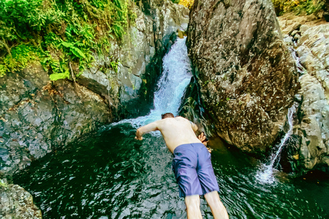 De San Juan: visite de la forêt tropicale et du toboggan aquatique d'El Yunque